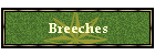 Breeches