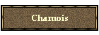 Chamois