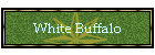White Buffalo