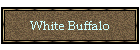 White Buffalo