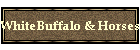 WhiteBuffalo & Horses