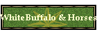 WhiteBuffalo & Horses