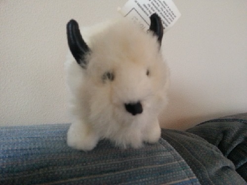 stuffed white buffalo